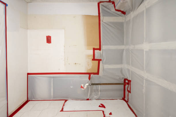 Best Air Quality Testing for Mold Spores  in La Puente, CA