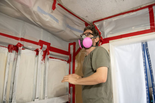 Best Comprehensive Air Testing for Mold Contaminants  in La Puente, CA