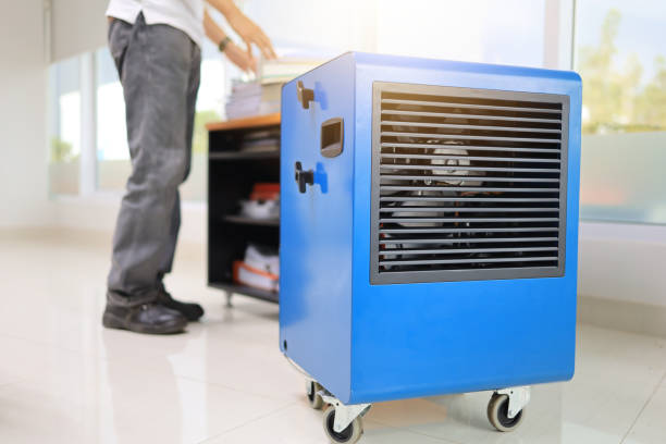 La Puente, CA Mold Removal Company